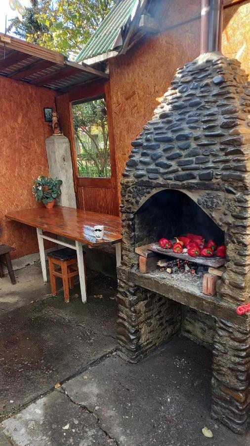 Casa Cu Lavanda Vatra Dornei Exteriér fotografie