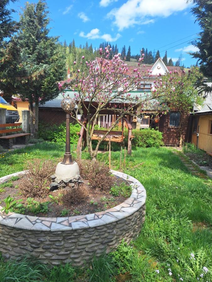 Casa Cu Lavanda Vatra Dornei Exteriér fotografie