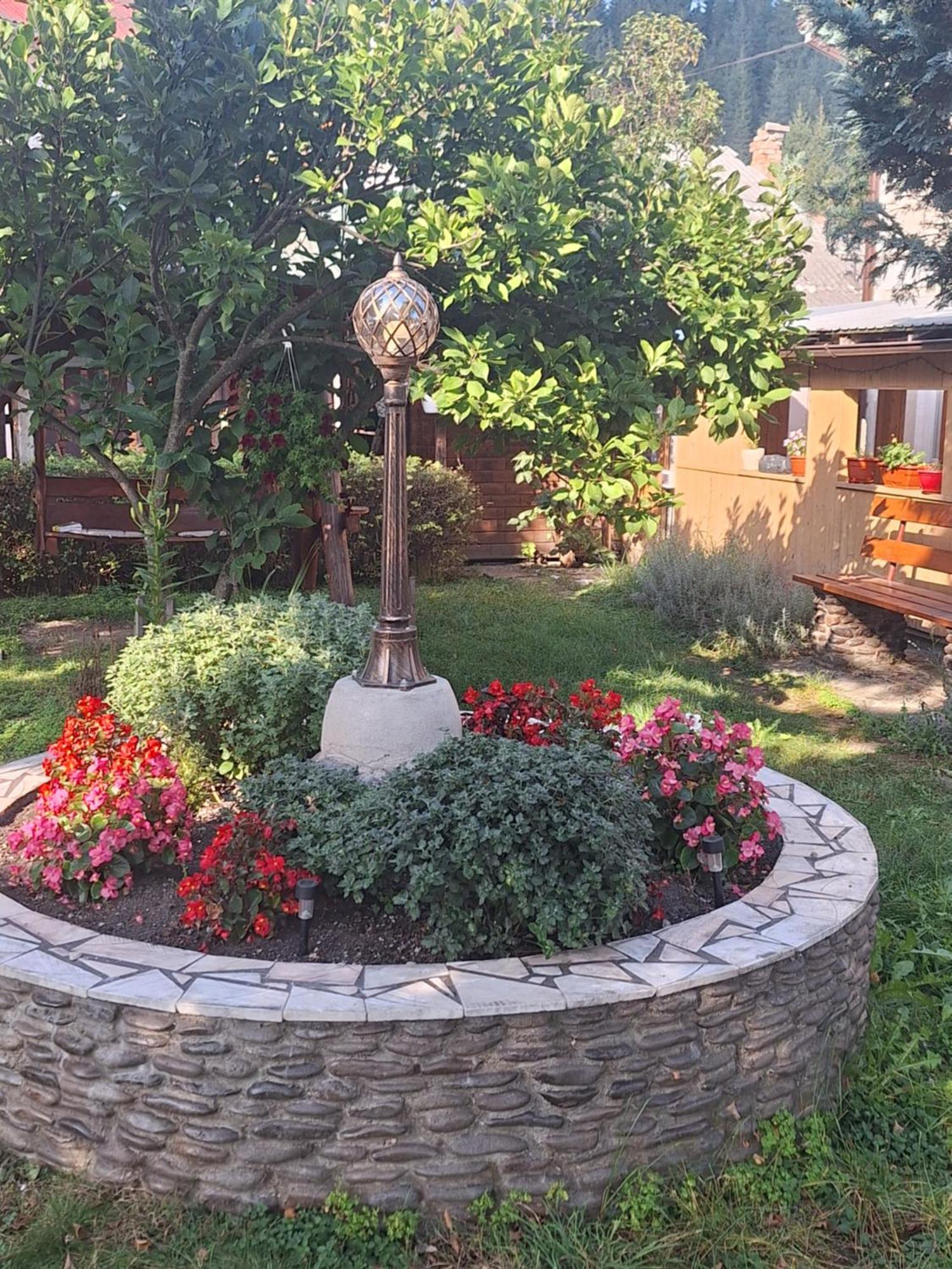 Casa Cu Lavanda Vatra Dornei Exteriér fotografie